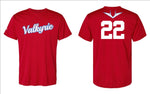 Valkyrie Fall Jersey